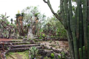 Jardín Botánico