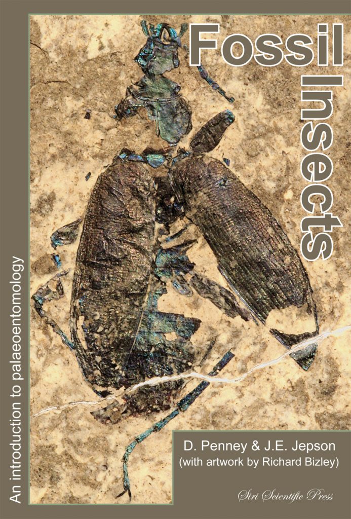 Fossil Insect Book