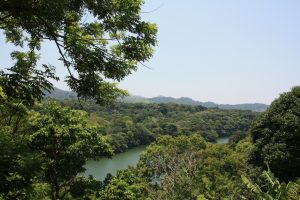 Lake view